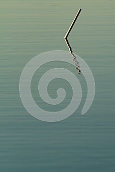 Lone Winter Mooring Stick in Water