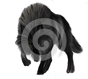 lone wolf, black and white drawing, white background