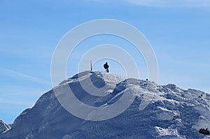 Lone wolf on the peak of Chopok in Low Tatras in Slovakia, Europe. Snowy hill and man with rucksak stands and enjoy views to the