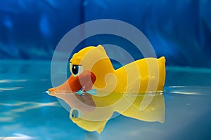 A lone yellow duck thermometer in an inflatable pool is doing its job