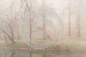 A loneley stairs among trees in the park during the fog