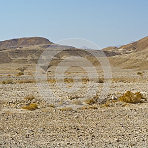 Loneliness and emptiness of the desert