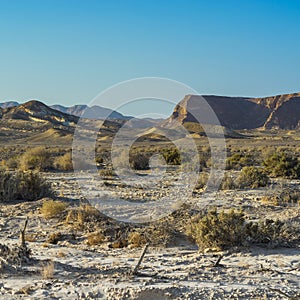 Loneliness and emptiness of the desert