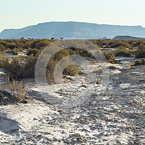 Loneliness and emptiness of the desert