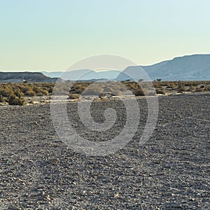 Loneliness and emptiness of the desert