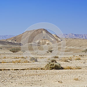 Loneliness and emptiness of the desert