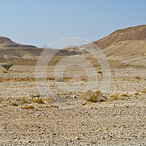 Loneliness and emptiness of the desert