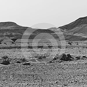 Loneliness and emptiness of the desert