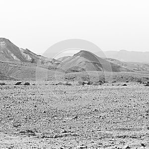 Loneliness and emptiness of the desert