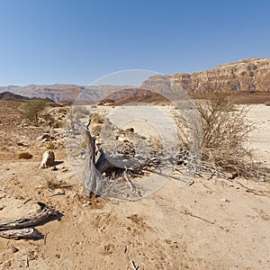 Loneliness and emptiness of the Middle East.