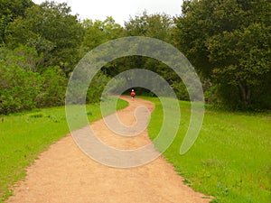 The loneliness of the long distance runner