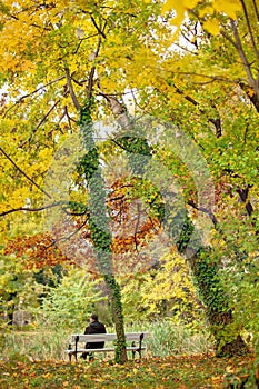 Loneliness in old age. Autum in old park Temerin - nature reserve in Serbia