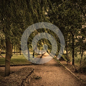 melancholic landscape, loneliness park autumn