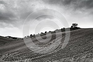 Lonely Art Nature Hills under cloudy sky