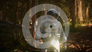 Lonely Astronaut in dark forest