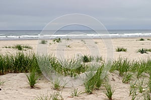 Lonely Beach