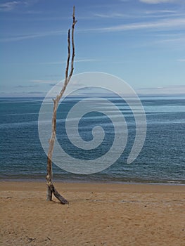 Lonely Beach