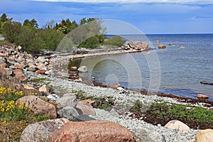 Lonely Beach by the Baltic Sea