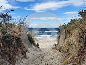 Lonely beach at the Baltic Sea