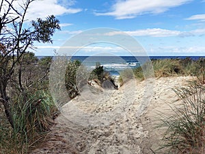 Lonely beach at the Baltic Sea