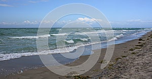 Lonely beach, called Weststrand, at the Peninsula Fischland-DarÃŸ-Zingst at the Baltic Sea