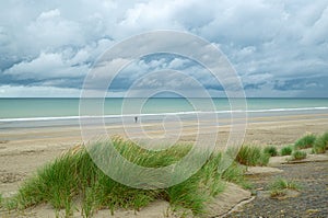 Lonely beach and dunes with beachgrass in Leffrinckoucke, France photo