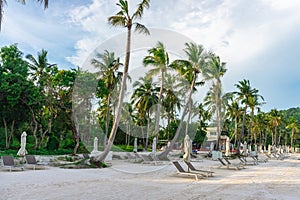 Lonely beach with empty deck chairs surrounded by coconut trees. Bai sao beach, Phu Quoc, Vietnam