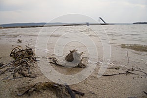 Lonely beach off-season