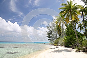 Lonely beach on Rangiroa island