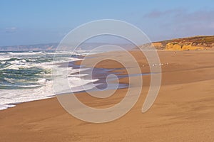 Lonely Beach on a Remote Coast