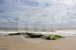 Lonely beach rocks with seaweed