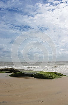 Lonely beach rocks with seaweed