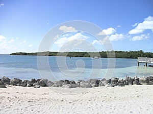 a lonely beach with stones in the summer
