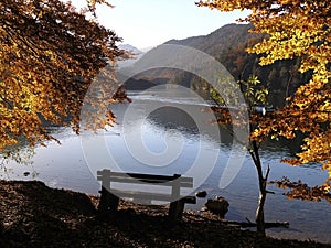 Lonely bench at Alps Lake.