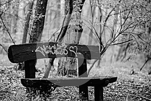 Lonely bench in the forest, it is scribbled, the picture is black and white