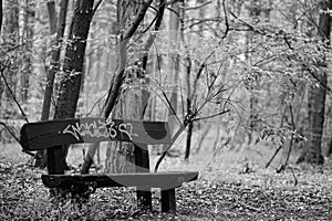 Lonely bench in the forest, it is scribbled, the picture is black and white