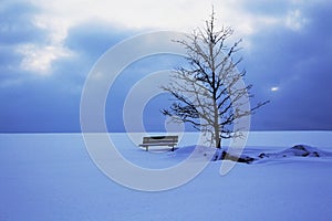 Lonely bench in the middle of nowhere