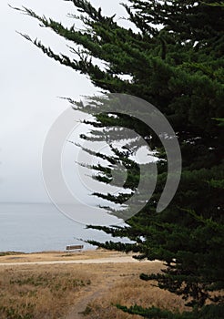 Lonely bench, Monterey Bay