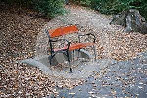 Lonely bench in the park