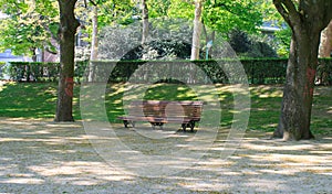 Lonely bench in a park