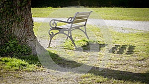 lonely bench in a park