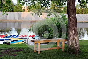 Lonely bench stands under a tree by the river