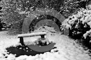 Lonely bench in winter garden