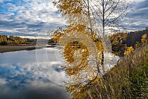 A lonely birch with yellow leaves on a steep river bank on an autumn day