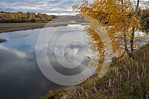 A lonely birch with yellow leaves on a steep river bank on an autumn day