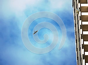 Lonely bird flying on background of blue cloudy sky