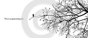 Lonely bird stands on a branch of a naked tree silhouette