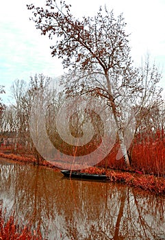 Lonely boat on a lake on a autumn day, poetry landscape