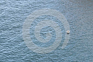 Lonely boat at the ocean