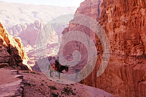 Lonely boy in petra jordan